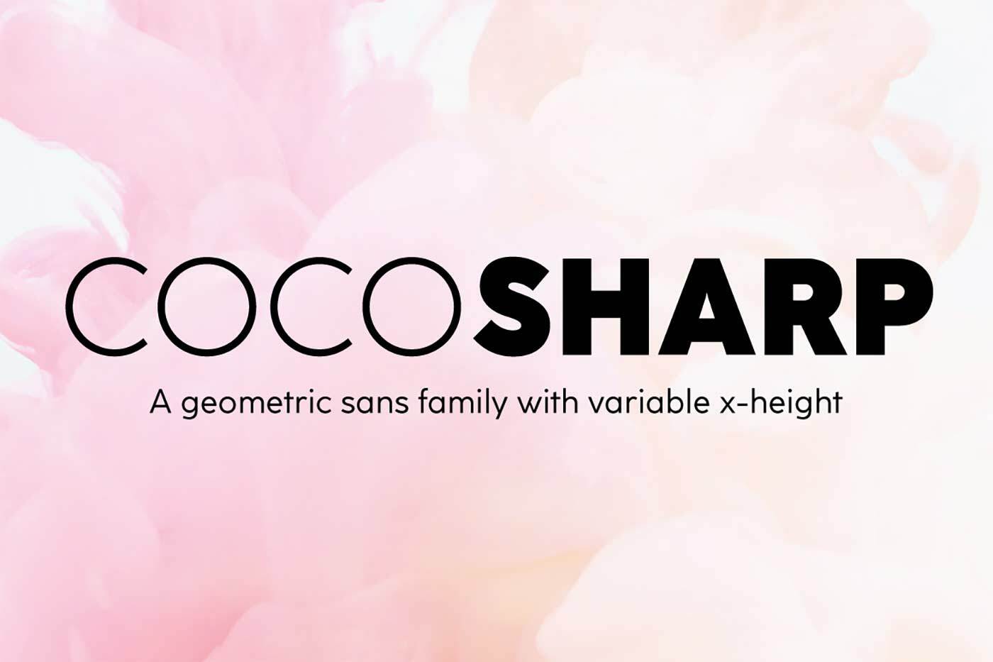 A geometric sans family with variable x-height