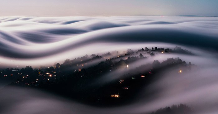 Iconic Fog