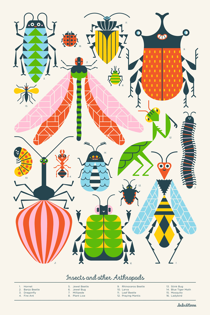 Insects and other Arthropods