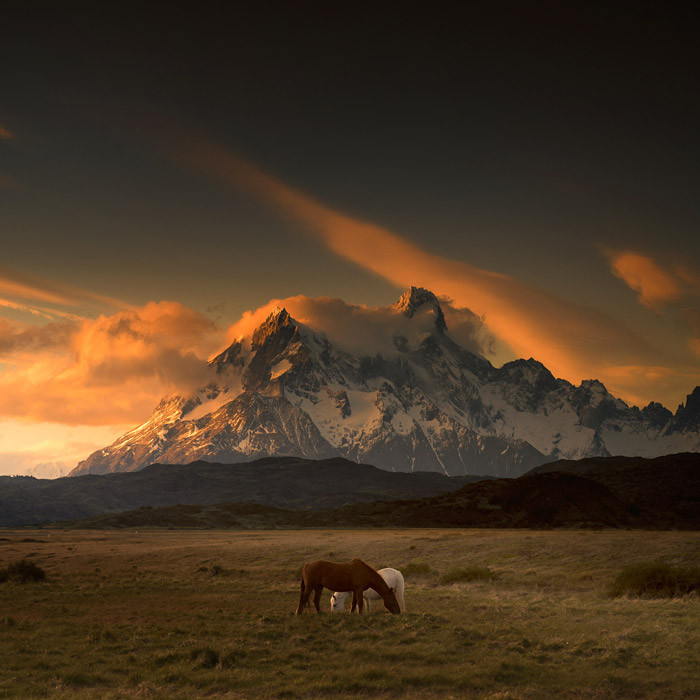 Patagonia Dreaming I