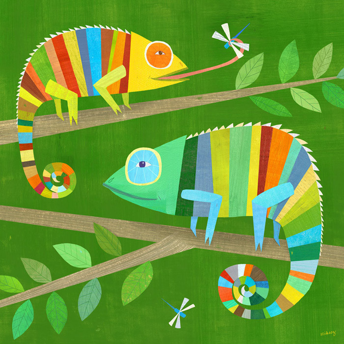Striped Chameleons