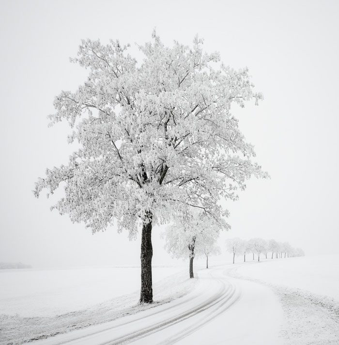 The minimalism of winter