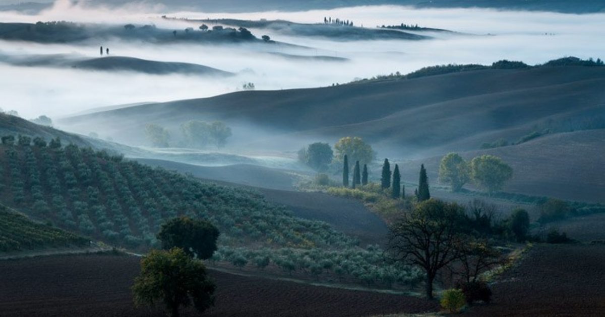 Daybreak At Val D'orcia 