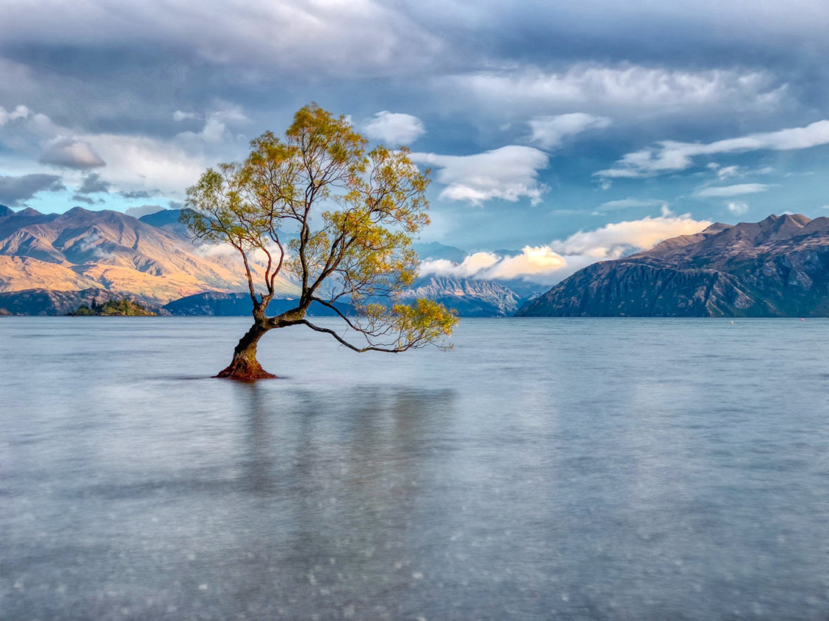 Veerle's Blog 4.0 | Wanaka