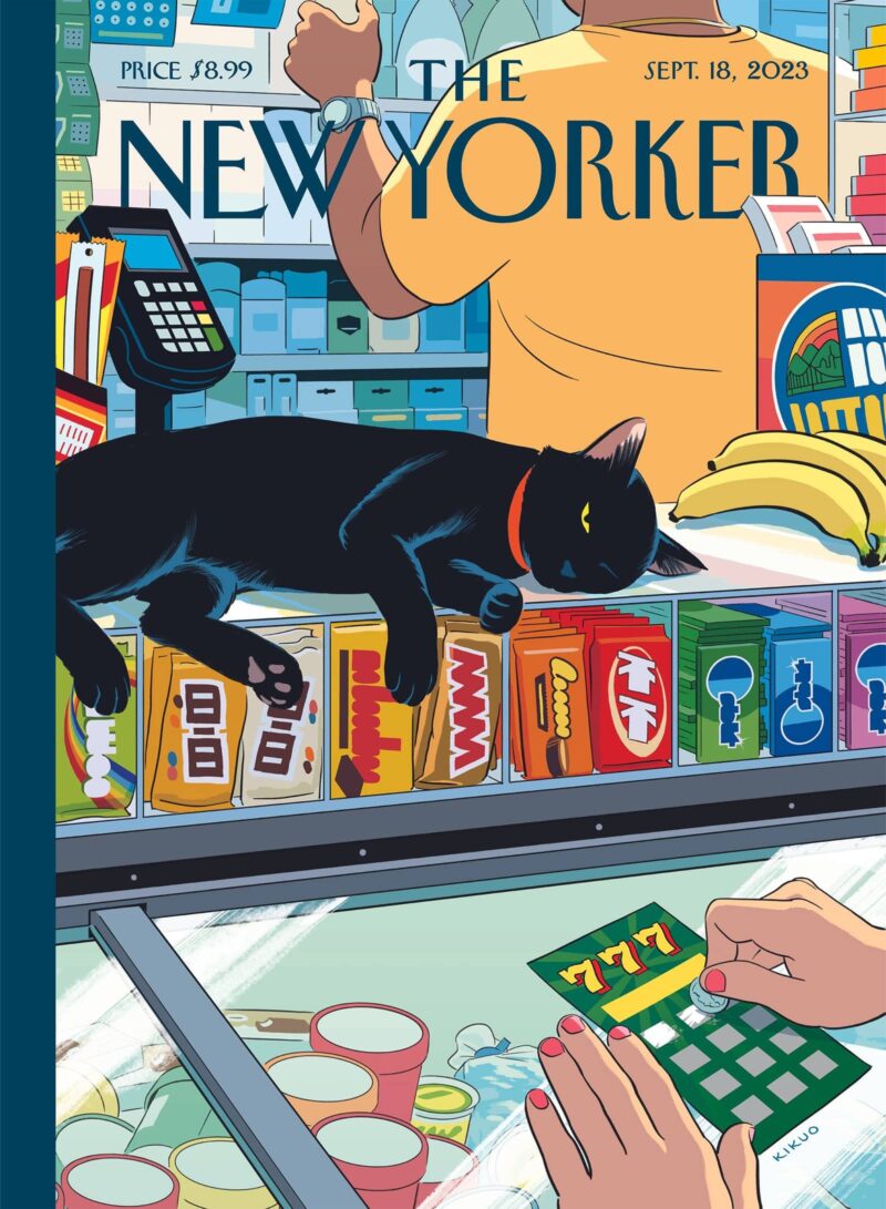 Bodega Cat