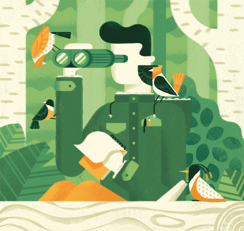 Birdwatching - Portfolio cover