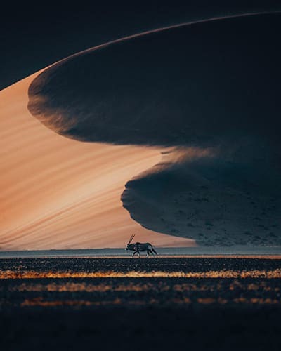 Desert of Namibia