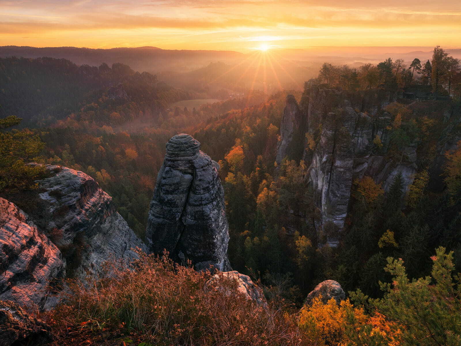 Dreaming of Autumn