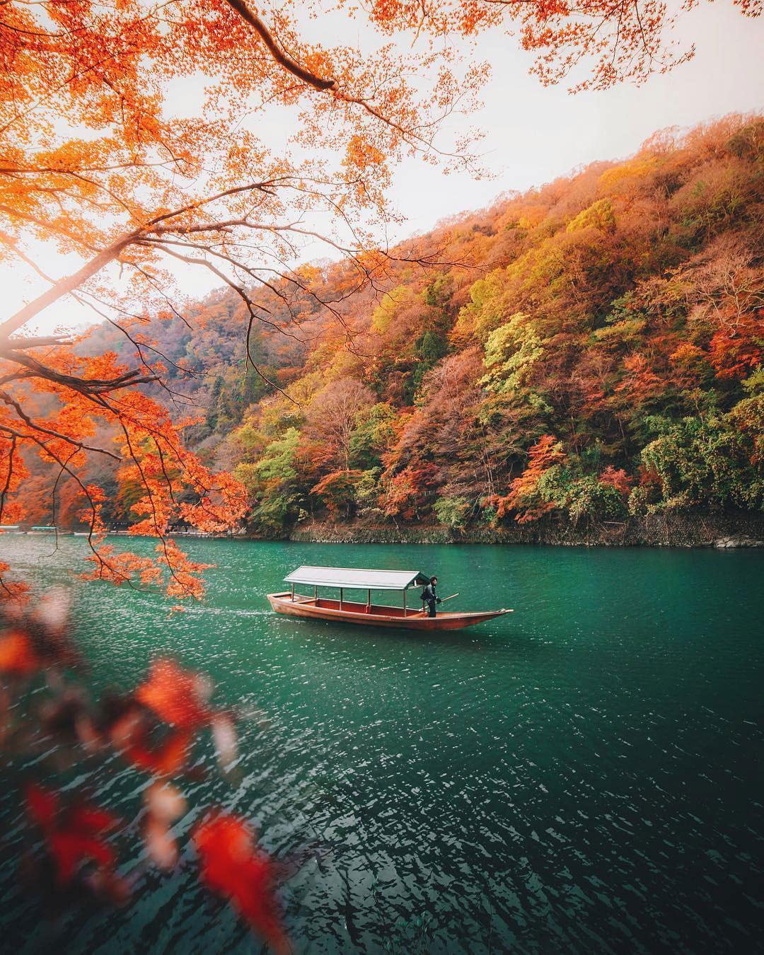 Fall Kyoto