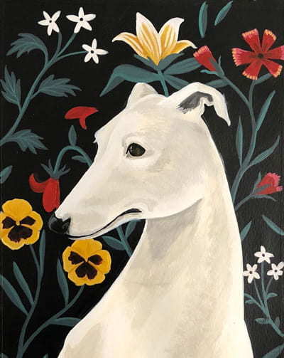 Galgo Blanco