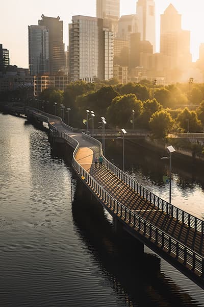 Golden Philly Glow.