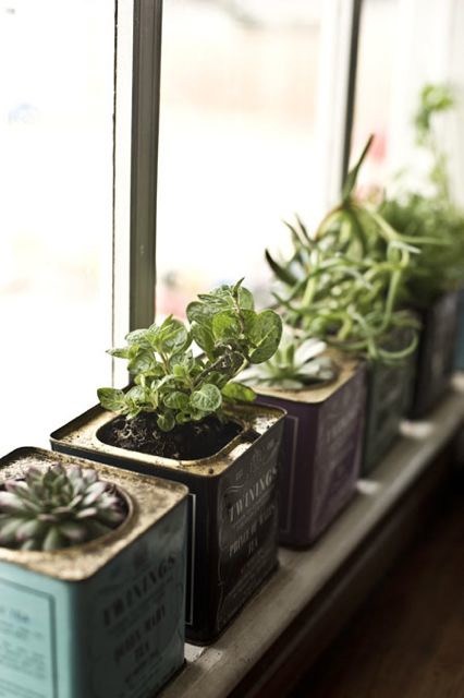Kitchen window herb garden
