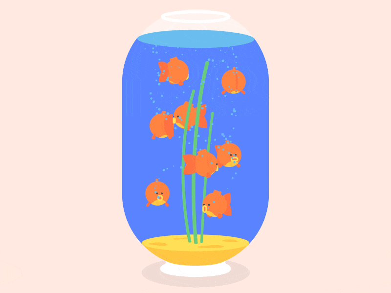 More Goldfish