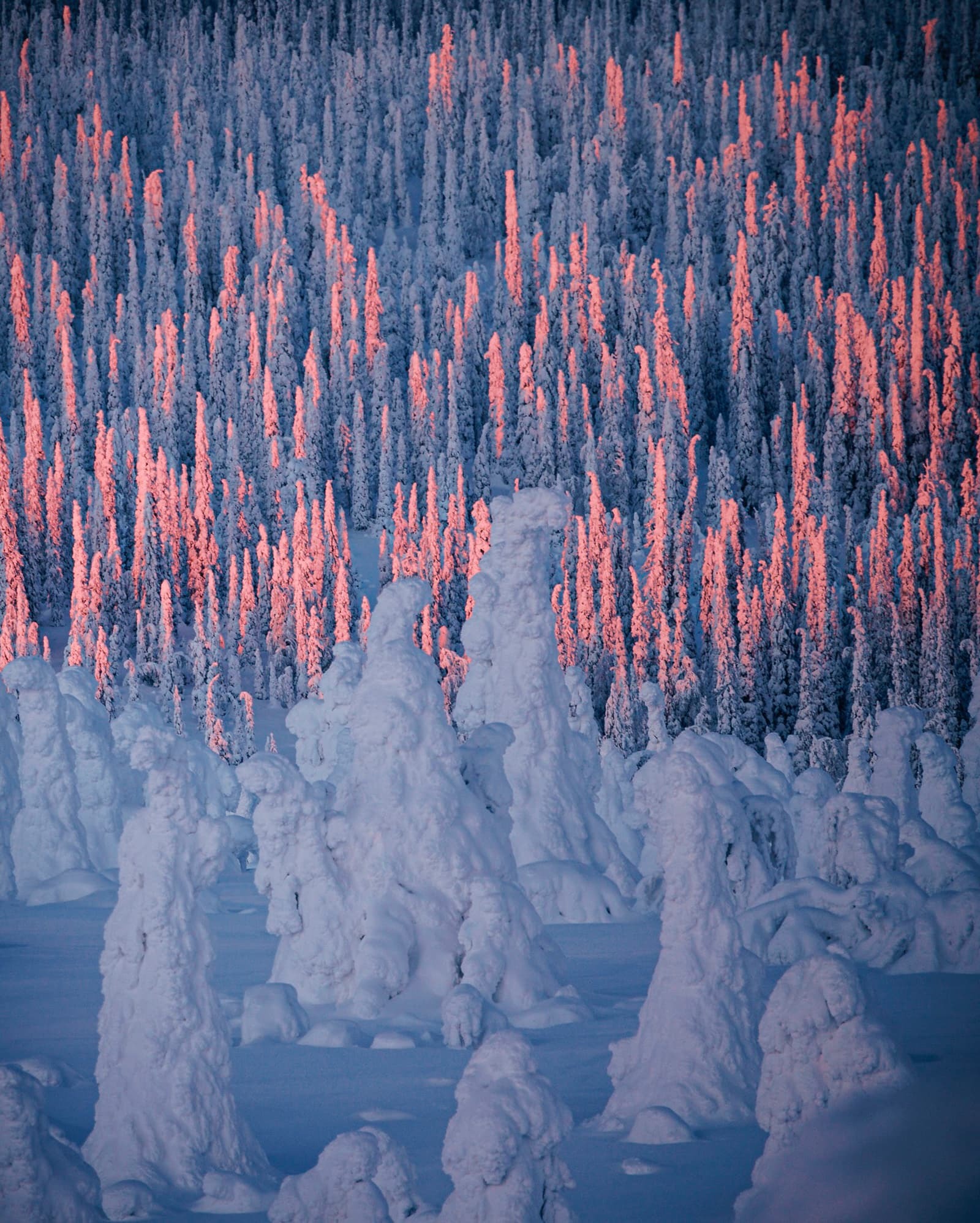 Riisitunturi National Park