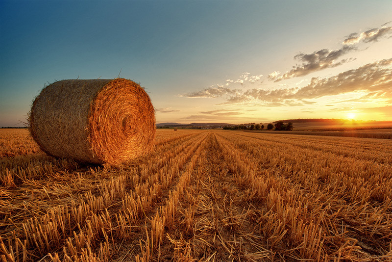 Bale Of Straw during sunset