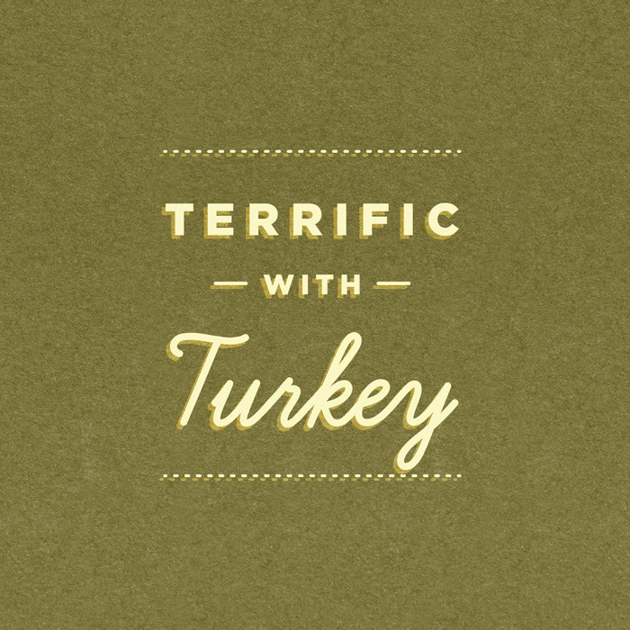 Terrific with turkey