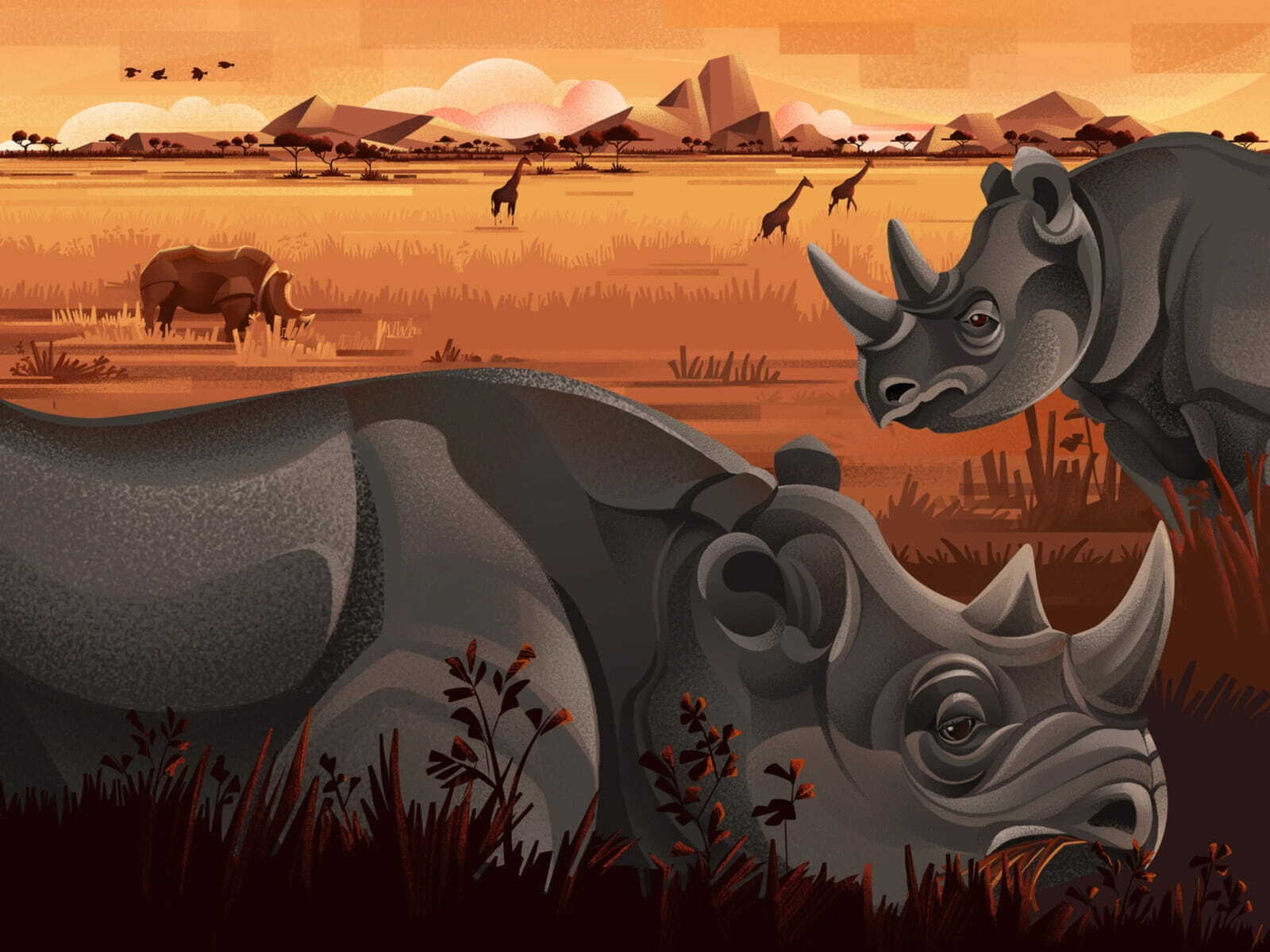 The Price of Extinction - Black Rhino