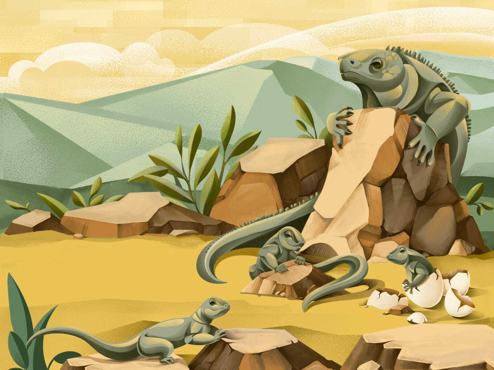 The Price of Extinction - Iguana