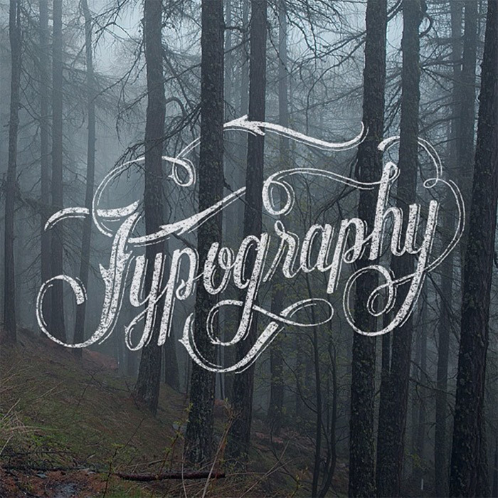 Typography woods