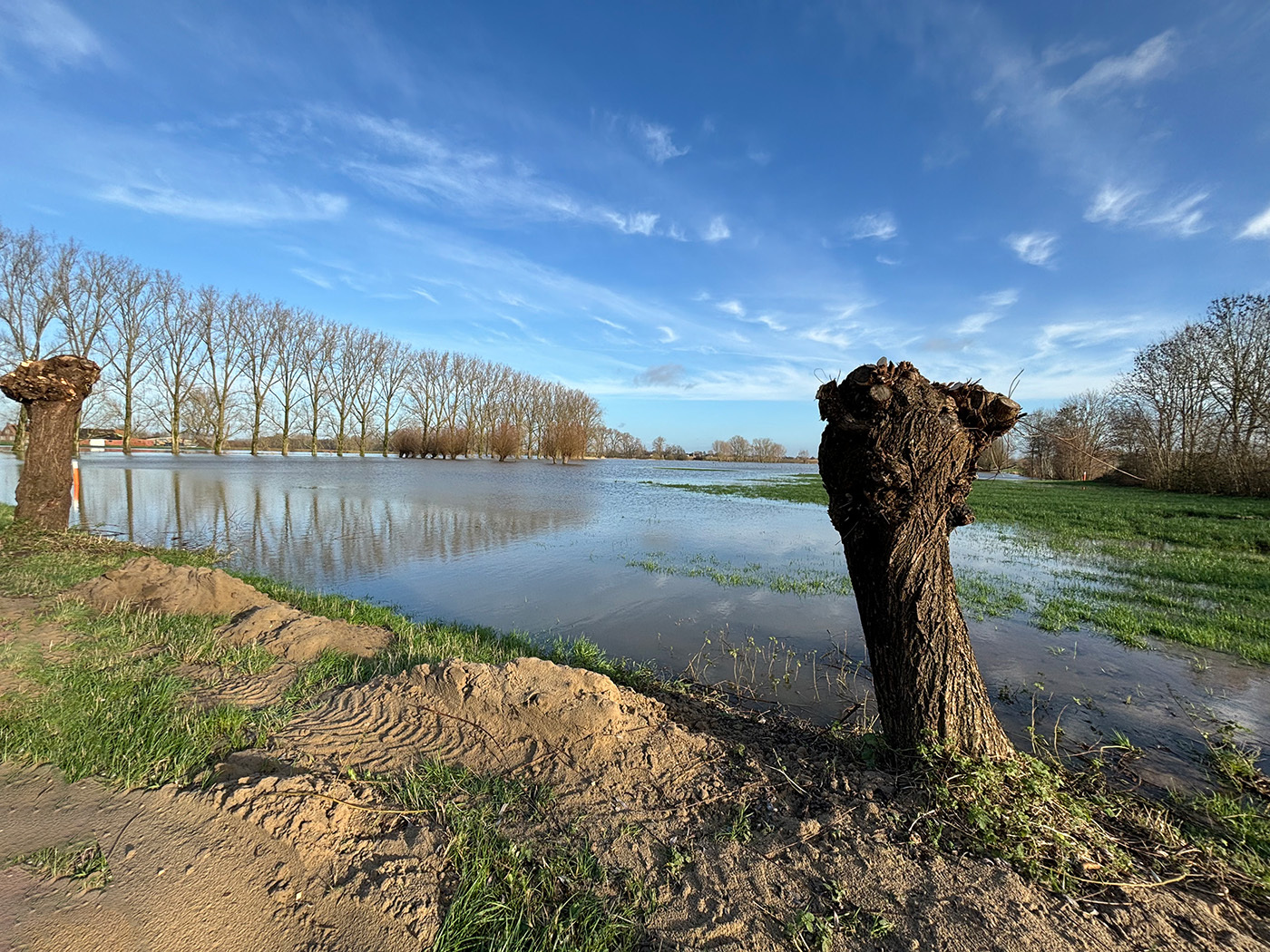 Photo of some of the many flooded meadows in Wontergem, a place nearby home
